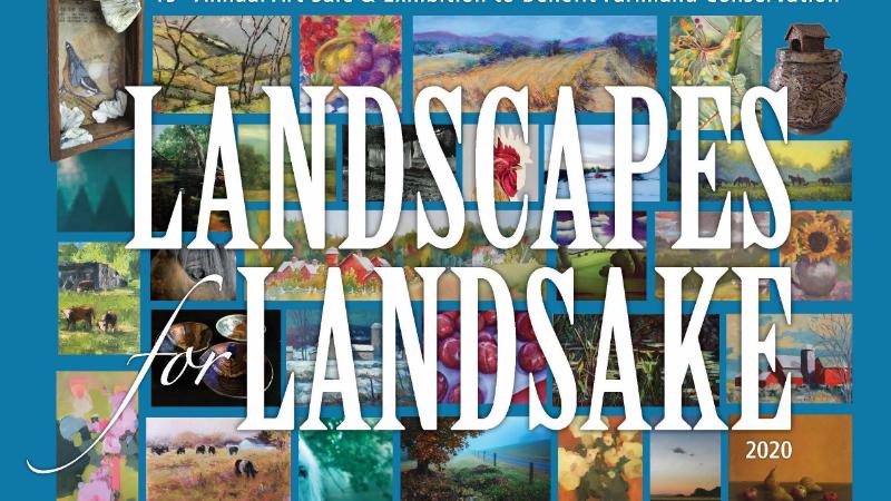 Landscapes for Landsake