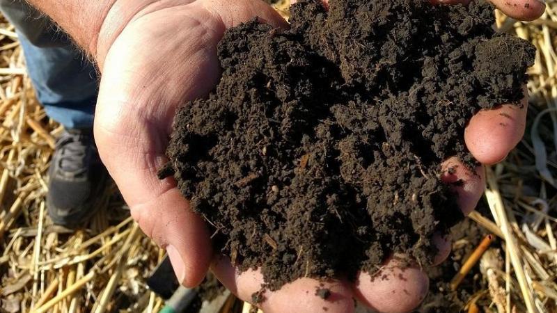 Soil Health Discussion & Demonstration