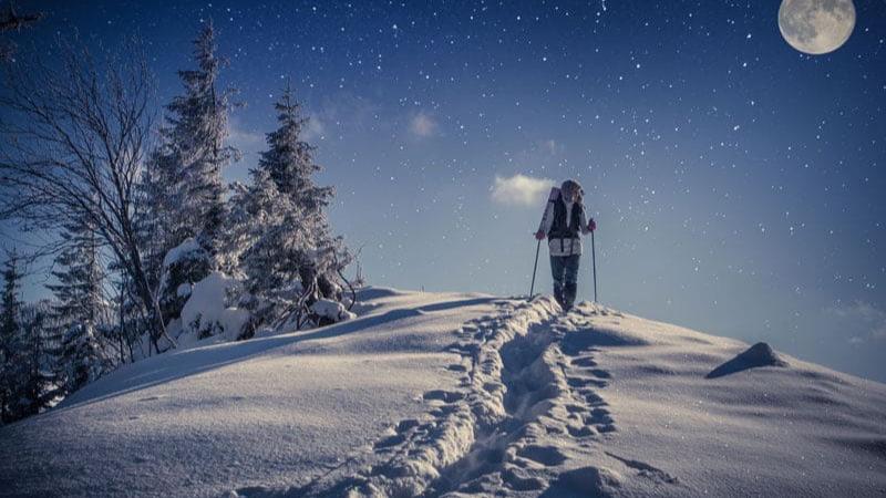 Moonlight Snowshoe Hike