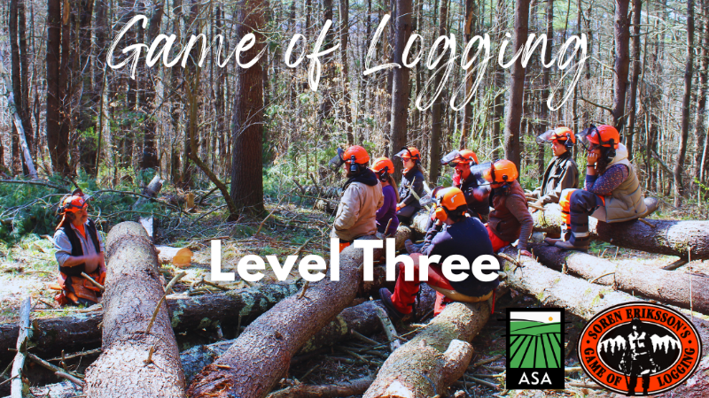 Game of Logging Level 3
