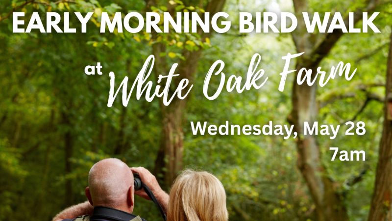 Early Morning Bird Walk at White Oak Farm