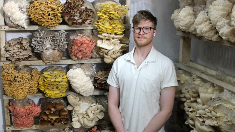 Mushroom Biology and Beyond: A Cultivation Workshop
