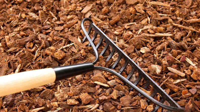 VOLUNTEER OPPORTUNITY - CCF Spring Clean Up Day