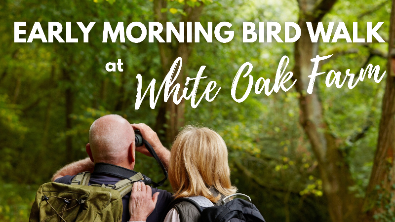 Early Morning Bird Walk at White Oak Farm