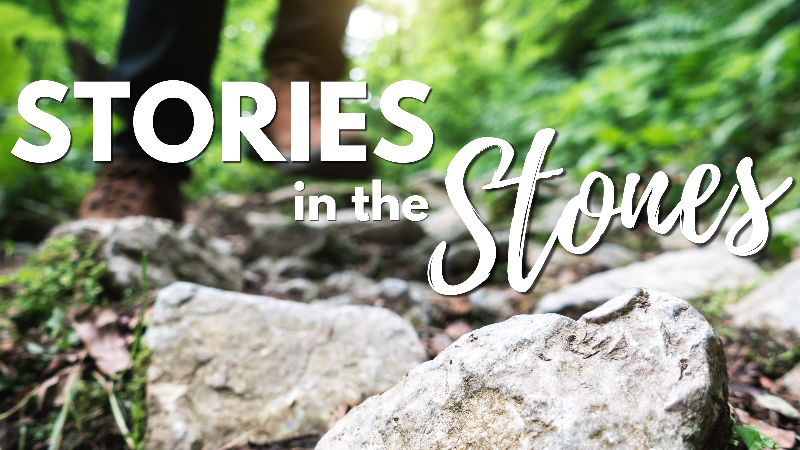 Stories in the Stones: Guided Geology Walk in the Community Forest