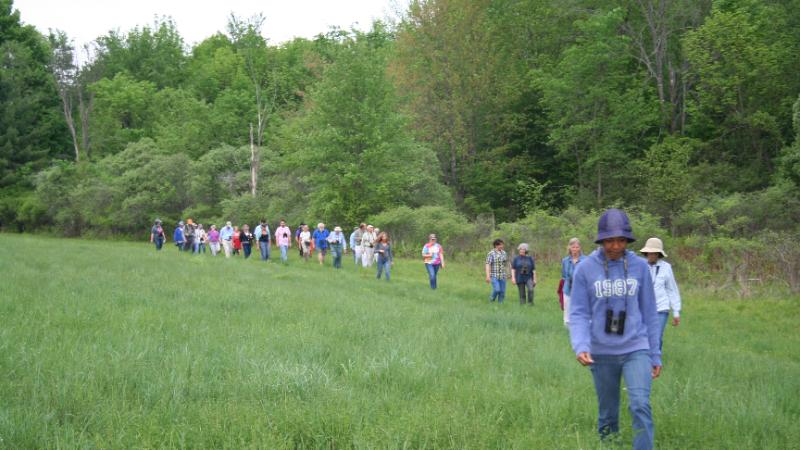 Early Morning Bird Walk at Hidley Farm