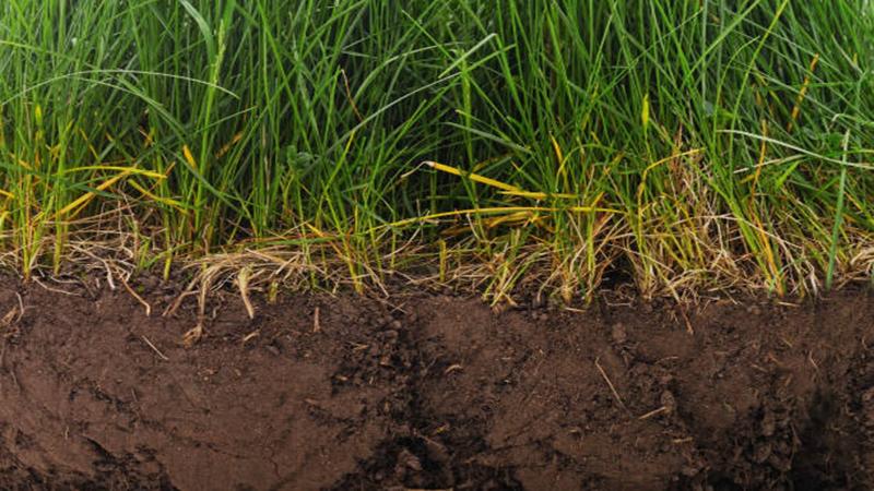Growing deep topsoil watersheds for our kids and communities