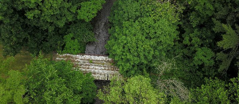 ASA’s First Community Conservation Project – The Cambridge Community Forest