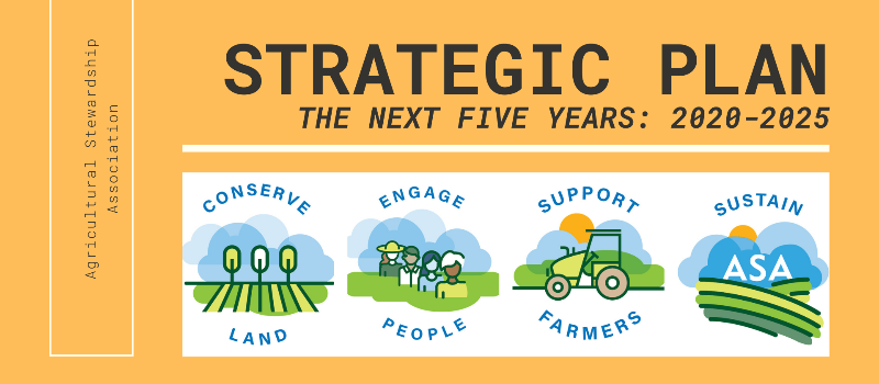 The Next Five Years; A Strategic Plan for 2020-2025