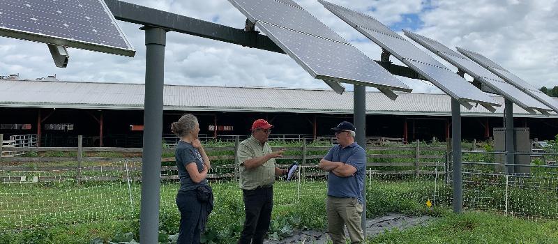 How Can Solar and Agriculture Co-Exist?