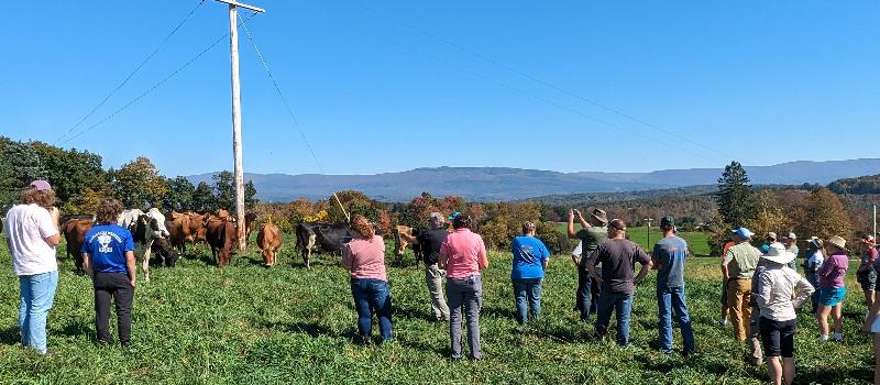 Harvesting Prosperity: The Financial Bounty of Regenerative Agriculture