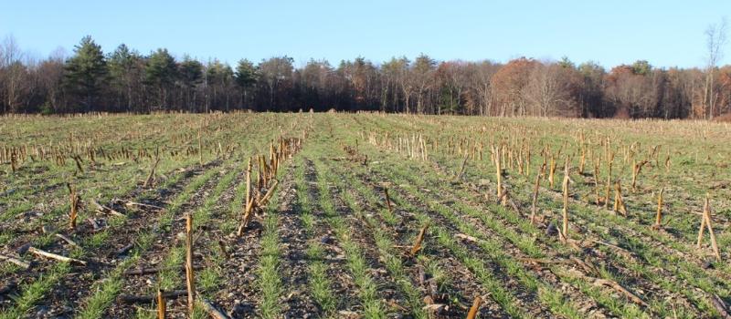 Reducing Soil Loss, Building Resilience