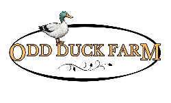 Odd Duck Farm