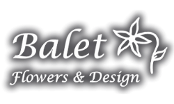 Balet Flowers & Design
