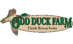 Odd Duck Farms