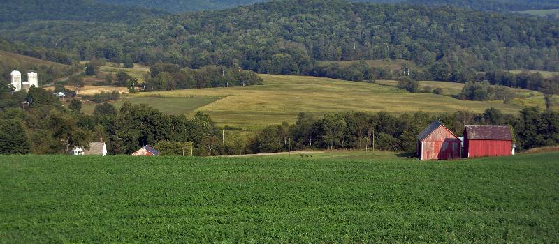 Braymer Farm