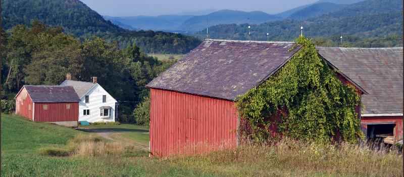Braymer Farm
