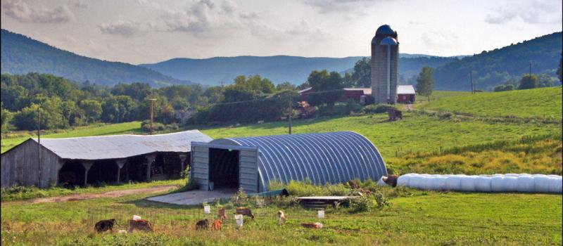 Breese Hollow Dairy, The Phippen Family