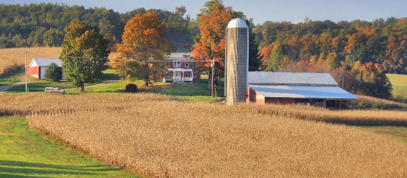 Buckland Farms