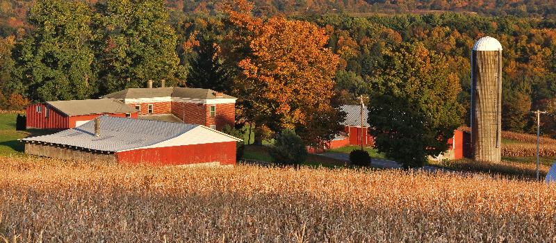 Buckland Farms