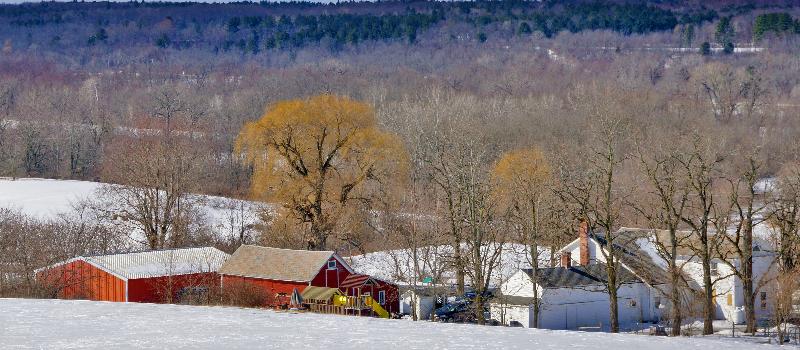 Collins Farm, winter