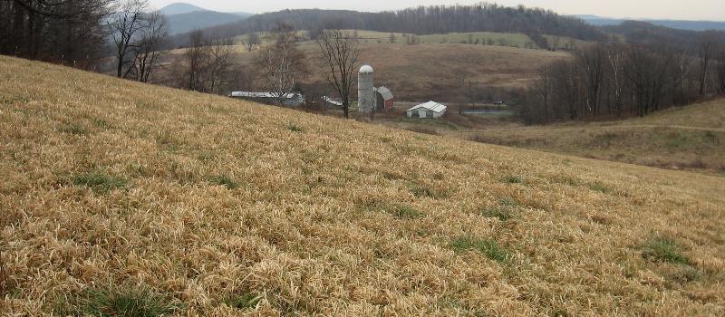 Farmstead view of Cary Farm from the West