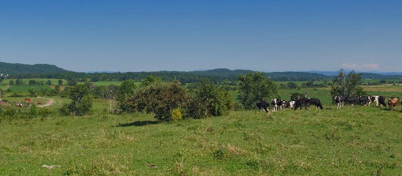 Fuller Acres Farm