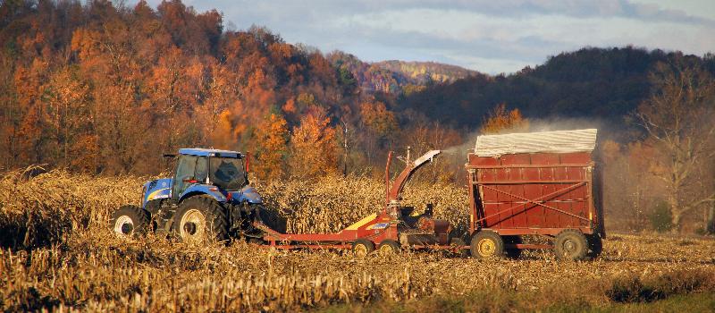 Harvest at McArthur-Sauert Farm