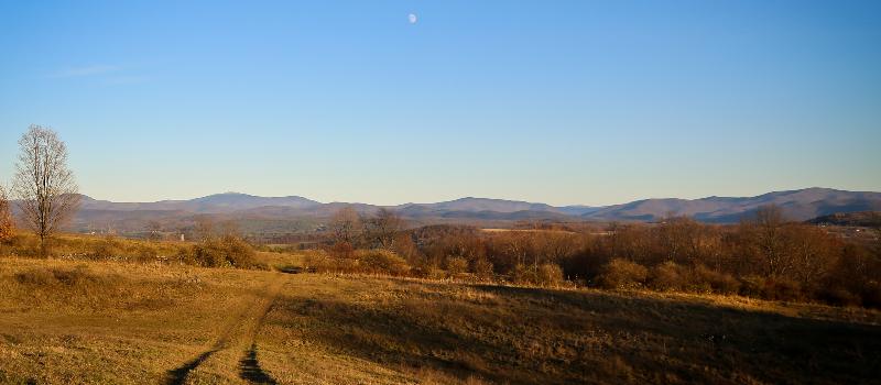 Hawk View Farm