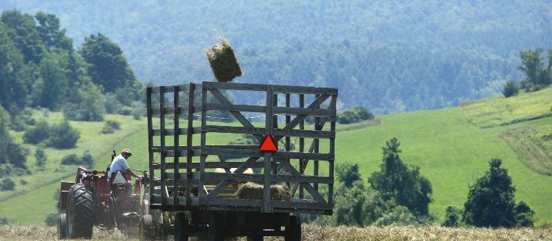 Hay Day at Philpott Farm