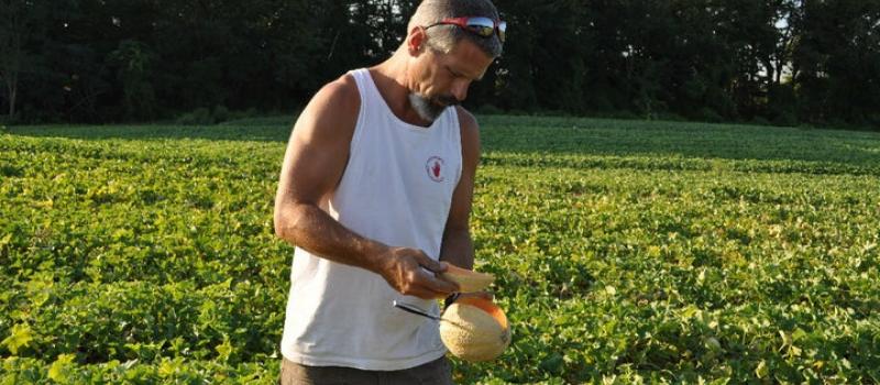 John Hand with a Hand Melon