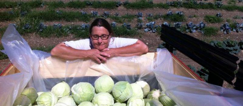 Lynn Caponera with cabbage to donate