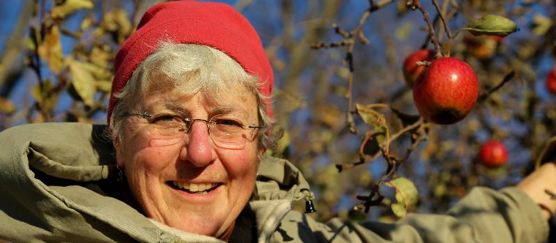 Mary Ellen Williams, Hawk View Farm