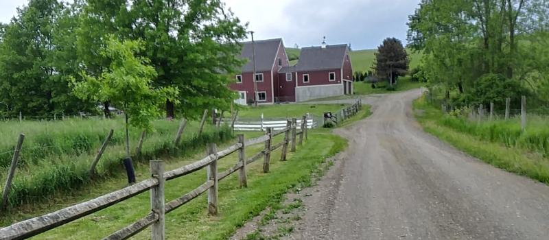 Meadowpond Farm - country road, split rail fence, red barns