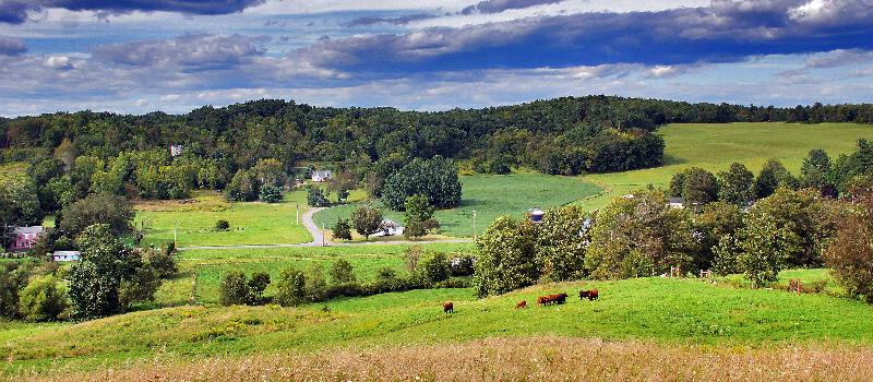 Otter Creek Farm