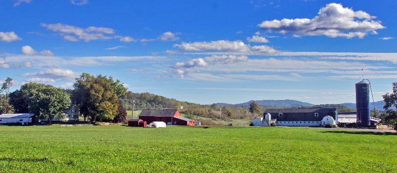 Richview Farm