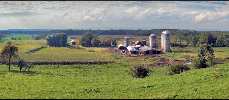 Stewart Farm  big view