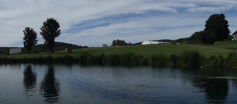 Sugar Bush Farm