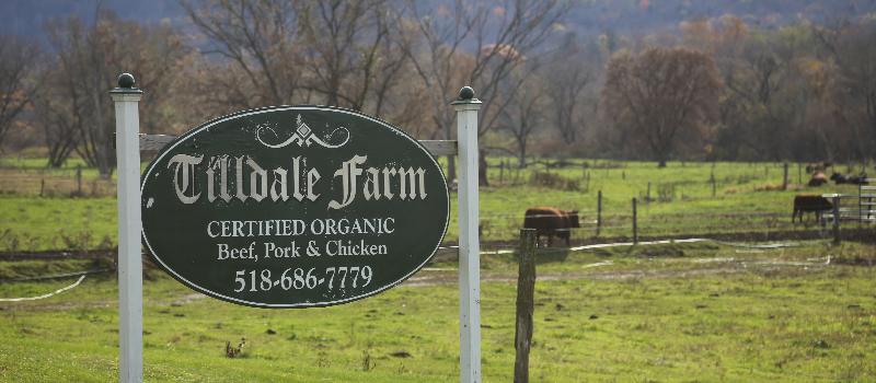 Tilldale Farm sign