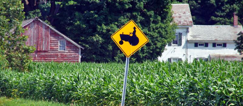 corn at McArthur-Sauert Farm