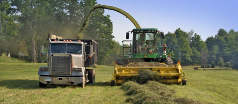 hay day at Tiashoke Farms