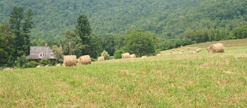 round bales at Jermain Hill Farm